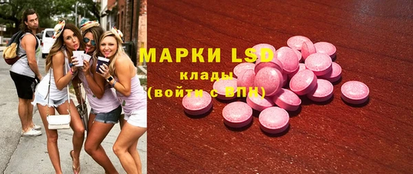 индика Алексин