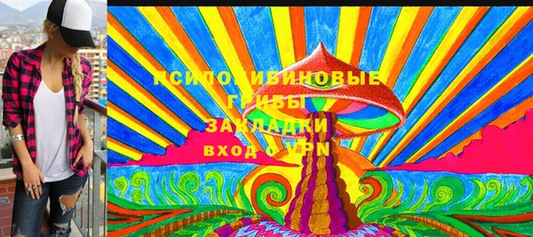 индика Алексин