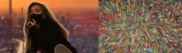 индика Алексин