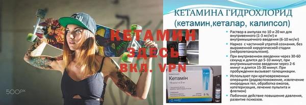 индика Алексин