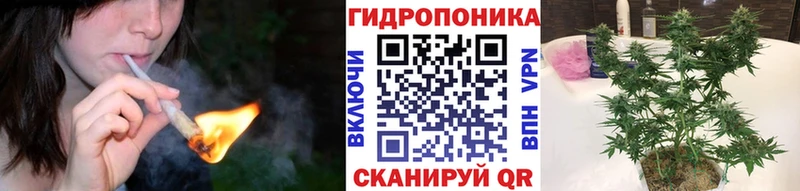 дарнет шоп  Полевской  Канабис MAZAR 